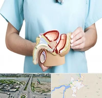 فوق تخصص دستگاه تناسلی مردان در میاندوآب