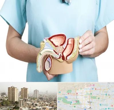 فوق تخصص دستگاه تناسلی مردان در منطقه 5 تهران 