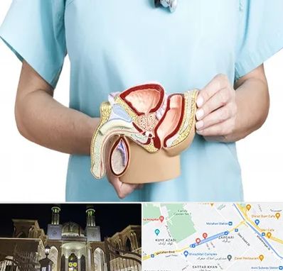 فوق تخصص دستگاه تناسلی مردان در زرگری شیراز 