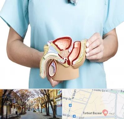 فوق تخصص دستگاه تناسلی مردان در تربیت تبریز