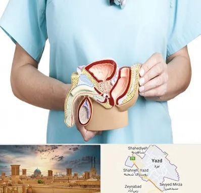 فوق تخصص دستگاه تناسلی مردان در یزد