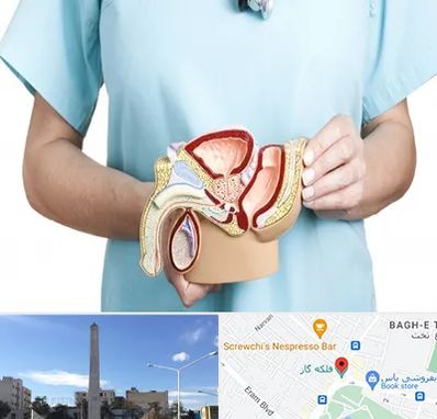 فوق تخصص دستگاه تناسلی مردان در فلکه گاز شیراز 