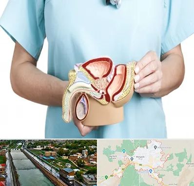 فوق تخصص دستگاه تناسلی مردان در مراغه