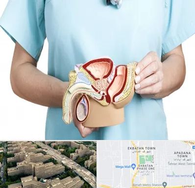 فوق تخصص دستگاه تناسلی مردان در اکباتان 