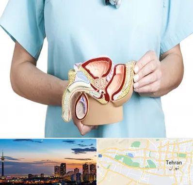 فوق تخصص دستگاه تناسلی مردان در غرب تهران 