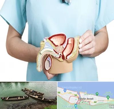 فوق تخصص دستگاه تناسلی مردان در بندر انزلی