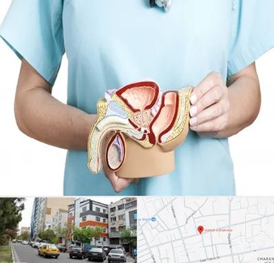 فوق تخصص دستگاه تناسلی مردان در هفده شهریور تبریز