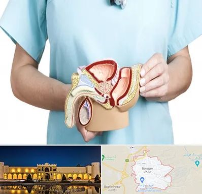 فوق تخصص دستگاه تناسلی مردان در برازجان