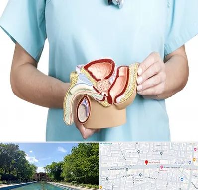 فوق تخصص دستگاه تناسلی مردان در هشت بهشت اصفهان 