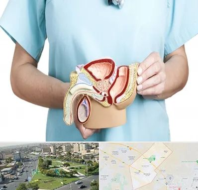 فوق تخصص دستگاه تناسلی مردان در کمال شهر کرج 