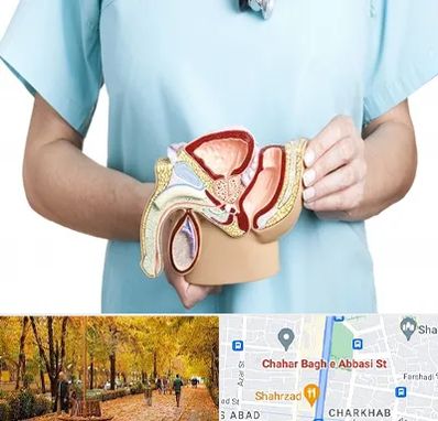 فوق تخصص دستگاه تناسلی مردان در چهارباغ اصفهان 