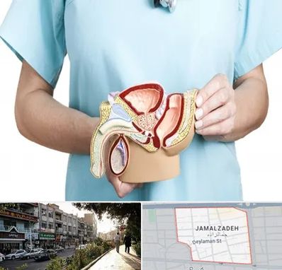 فوق تخصص دستگاه تناسلی مردان در خیابان جمالزاده