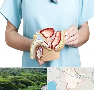 فوق تخصص دستگاه تناسلی مردان در گچساران