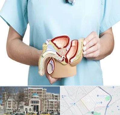 فوق تخصص دستگاه تناسلی مردان در طلاب مشهد