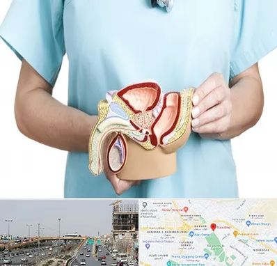 فوق تخصص دستگاه تناسلی مردان در بلوار توس مشهد 