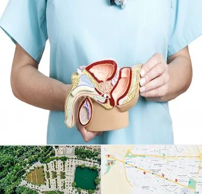 فوق تخصص دستگاه تناسلی مردان در وکیل آباد مشهد 