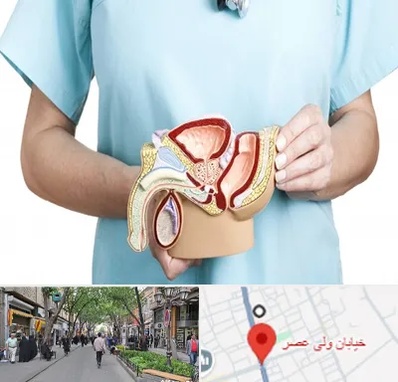 فوق تخصص دستگاه تناسلی مردان در ولیعصر شهریار