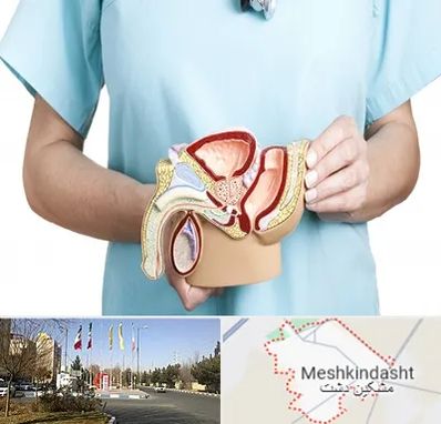 فوق تخصص دستگاه تناسلی مردان در مشکین دشت