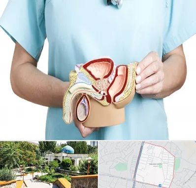 فوق تخصص دستگاه تناسلی مردان در باغمیشه تبریز