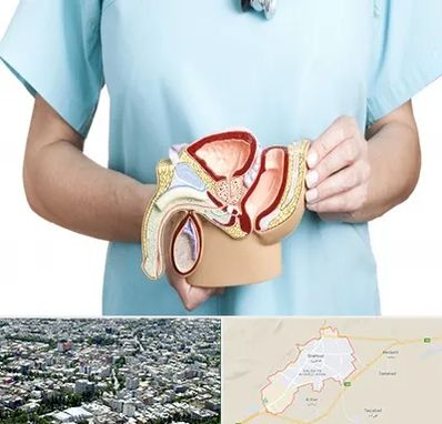فوق تخصص دستگاه تناسلی مردان در شاهرود