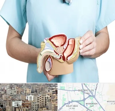 فوق تخصص دستگاه تناسلی مردان در جنوب شرق تهران