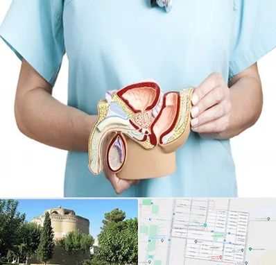 فوق تخصص دستگاه تناسلی مردان در مرداویج اصفهان 