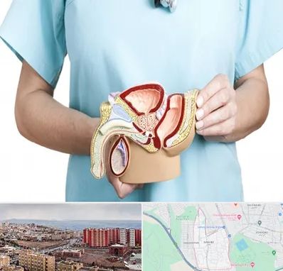 فوق تخصص دستگاه تناسلی مردان در سهند تبریز