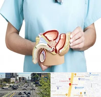 فوق تخصص دستگاه تناسلی مردان در ستاری 