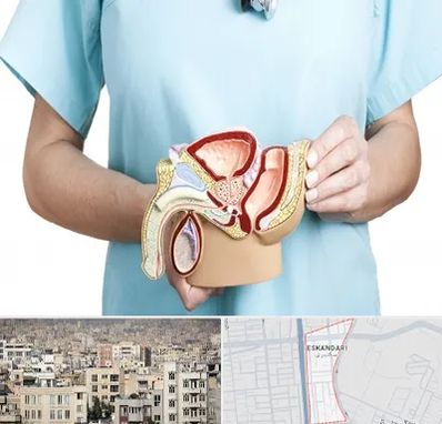 فوق تخصص دستگاه تناسلی مردان در اسکندری