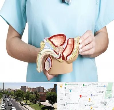 فوق تخصص دستگاه تناسلی مردان در شهرک آزمایش