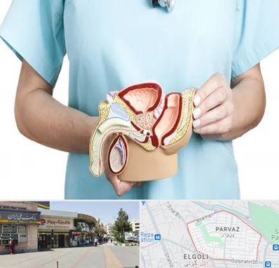 فوق تخصص دستگاه تناسلی مردان در پرواز تبریز