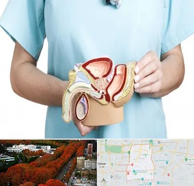 فوق تخصص دستگاه تناسلی مردان در منطقه 6 تهران 