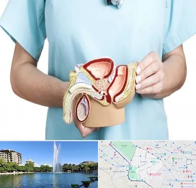 فوق تخصص دستگاه تناسلی مردان در کوهسنگی مشهد 