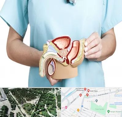 فوق تخصص دستگاه تناسلی مردان در سالاریه قم