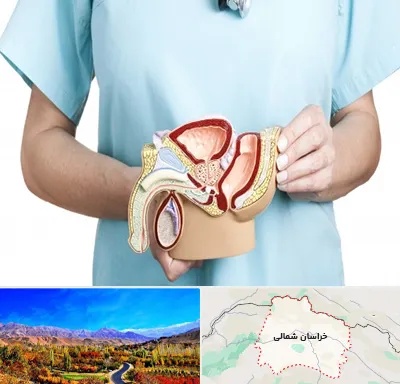 فوق تخصص دستگاه تناسلی مردان در خراسان شمالی
