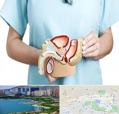 فوق تخصص دستگاه تناسلی مردان در منطقه 22 تهران 