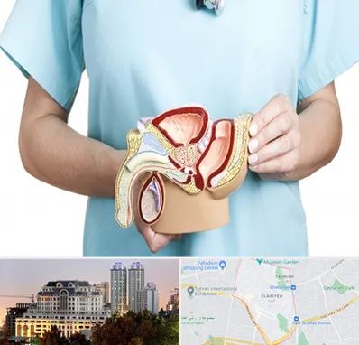 فوق تخصص دستگاه تناسلی مردان در فرشته 