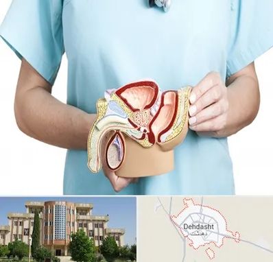 فوق تخصص دستگاه تناسلی مردان در دهدشت