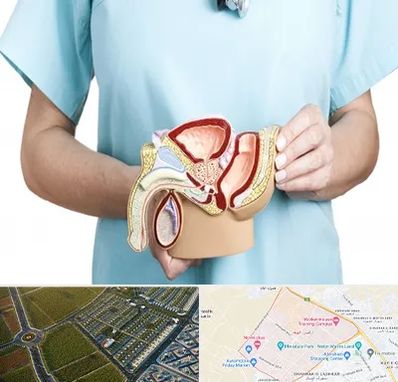 فوق تخصص دستگاه تناسلی مردان در الهیه مشهد 