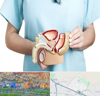 فوق تخصص دستگاه تناسلی مردان در رشدیه تبریز