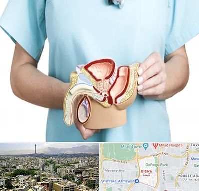 فوق تخصص دستگاه تناسلی مردان در گیشا 