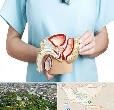 فوق تخصص دستگاه تناسلی مردان در شهرکرد