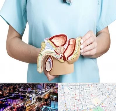 فوق تخصص دستگاه تناسلی مردان در منظریه رشت 