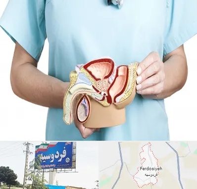 فوق تخصص دستگاه تناسلی مردان در فردوسیه شهریار