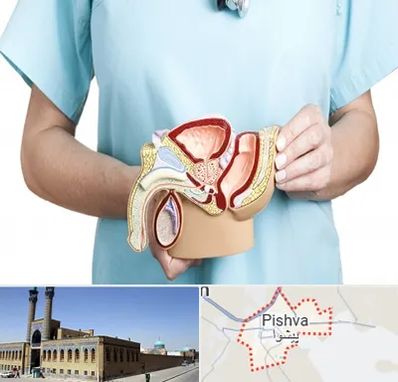 فوق تخصص دستگاه تناسلی مردان در پیشوا