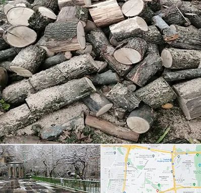 خرید ضایعات چوب در باغ فیض 