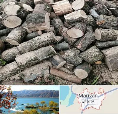 خرید ضایعات چوب در مریوان