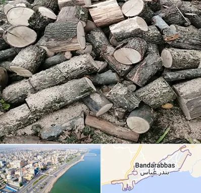 خرید ضایعات چوب در بندرعباس