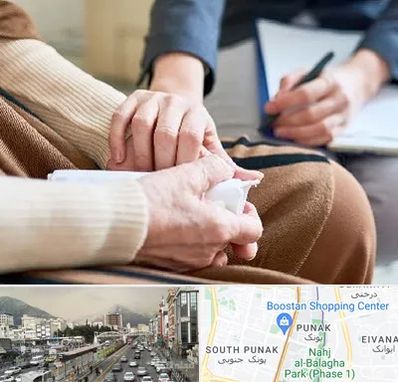 روانشناس افسردگی در پونک