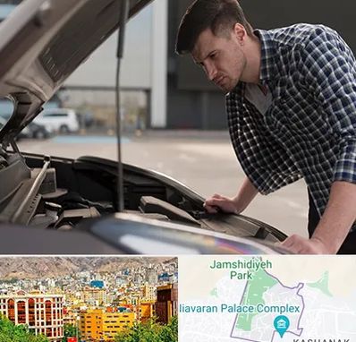 کارشناسی خودرو سیار در نیاوران 